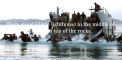 Banner-02